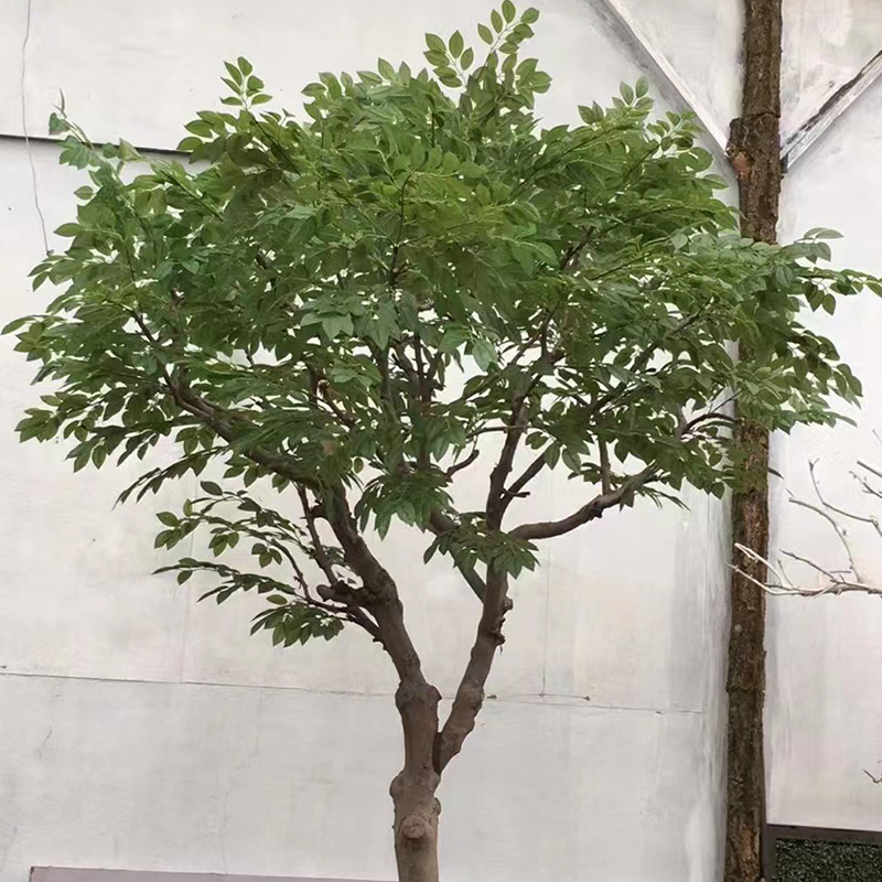 沈陽仿真植物