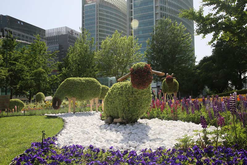 沈陽仿真植物