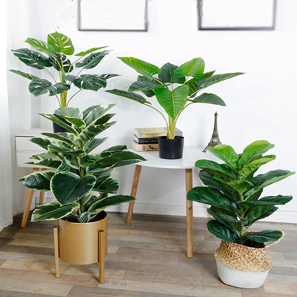沈陽(yáng)仿真植物 沈陽(yáng)仿真植物